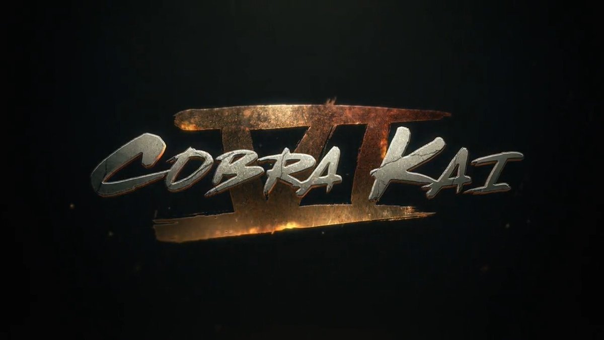 DOJO NEWS: The sixth and ~final~ season of COBRA KAI is coming soon to Netflix.