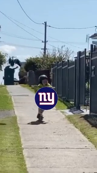 The Philadelphia Eagles chase the Giants out of Philly