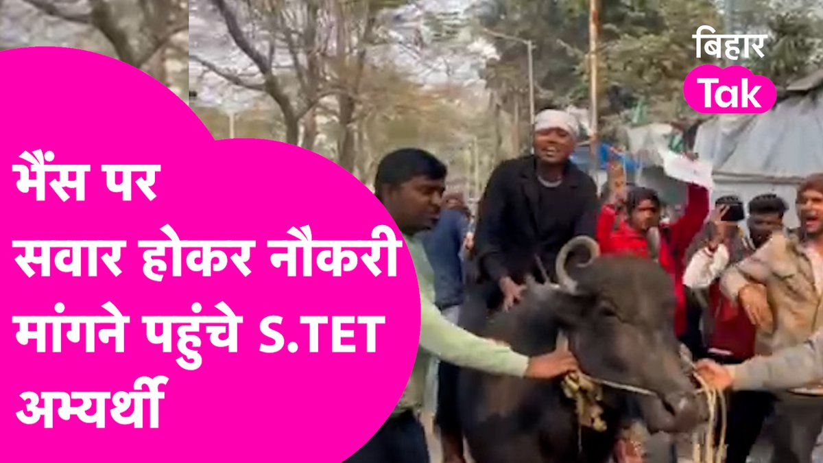 शिक्षा मंत्री सुन नहीं रहे हैं तो अब भैंस के सामने ही अपनी मांगों को रख रहे हैं STET अभ्यर्थी। नौकरी की मांग सहित अन्य मुद्दों को लेकर भैंस पर सवार होकर आरजेडी दफ़्तर पहुंचे एसटीईटी अभ्यर्थी। देखिए अभ्यर्थियों का अनोखा प्रदर्शन। #STET #Bihar #CTET