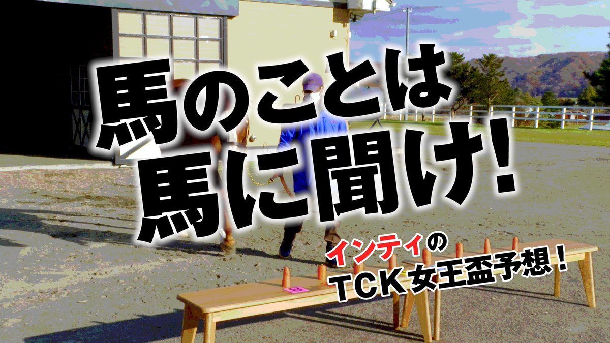【種牡馬前の大仕事!?】 この企画もいよいよ最終回🙋 今回は #インティ が、今年でラストを迎える #TCK女王盃 の予想に挑戦💪 動画を見たら、 1⃣東京シティ競馬 (TCK)をフォロー 2⃣ #馬のことは馬に聞け #インティ を付けて引用RT でAmazonギフト券1,000円分を100名様にプレゼント🌈 締切:1/25 16:30💡