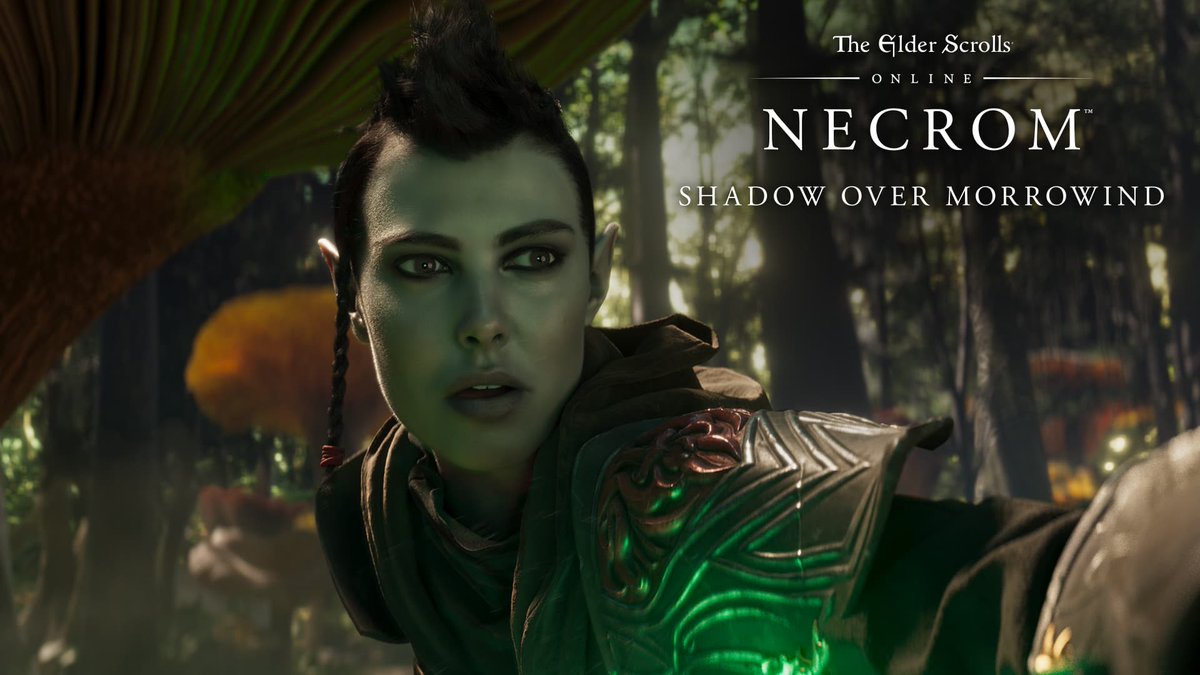 A new hero rises in the fight to keep reality from unraveling. Get a glimpse at what lies ahead in our next adventure, #ShadowOverMorrowind.