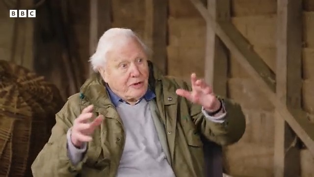 ⭐TONIGHT ON WINTERWATCH⭐ Sir David Attenborough and Chris Packham in conversation ahead of David’s brand new upcoming BBC One series, Wild Isles 🌸 Tune in tonight at 8pm to hear what was discussed between these two champions of nature 🤩