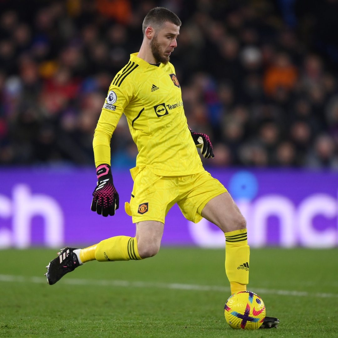 🧤 De Gea va por el premio a la mejor atajada del mes de la Premier League. #MUFC David de Gea