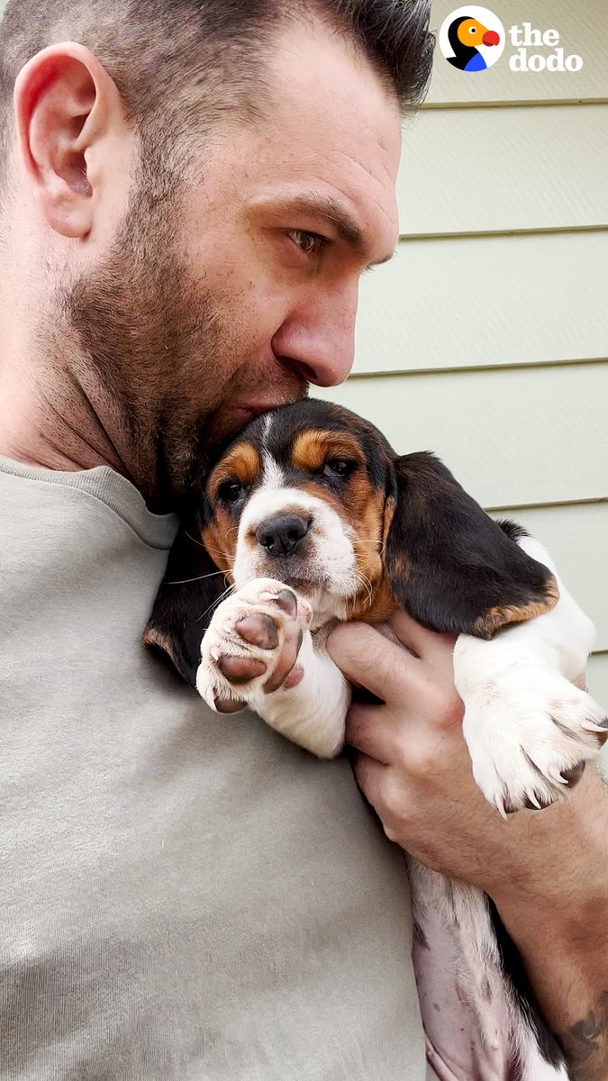Guy rescues a tiny basset hound puppy who'd been colored on with markers and gives her the gentlest bath 💛 Special thanks to The Asher House! Follow along on Instagram: &amp; TikTok: