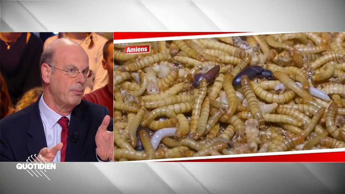 Pourquoi la Caisse des Dépôts investit-elle dans une ferme à scarabées à Amiens ?! 🤔 Eric Lombard explique le rôle essentiel de cet établissement public français chez #Quotidien ⤵