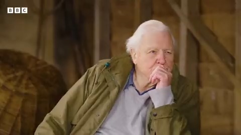 "We just have to keep the pressure on, whether we’re winning or losing, we should be doing all we possibly can."" We are incredibly excited to bring your part two of Chris Packham's chat with Sir David ahead of his new series Wild Isles on BBC One 🌹 #Winterwatch