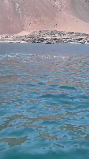 #Tarapacá Está mañana caleta San Marcos ubicada en el Sector Sur de Iquique