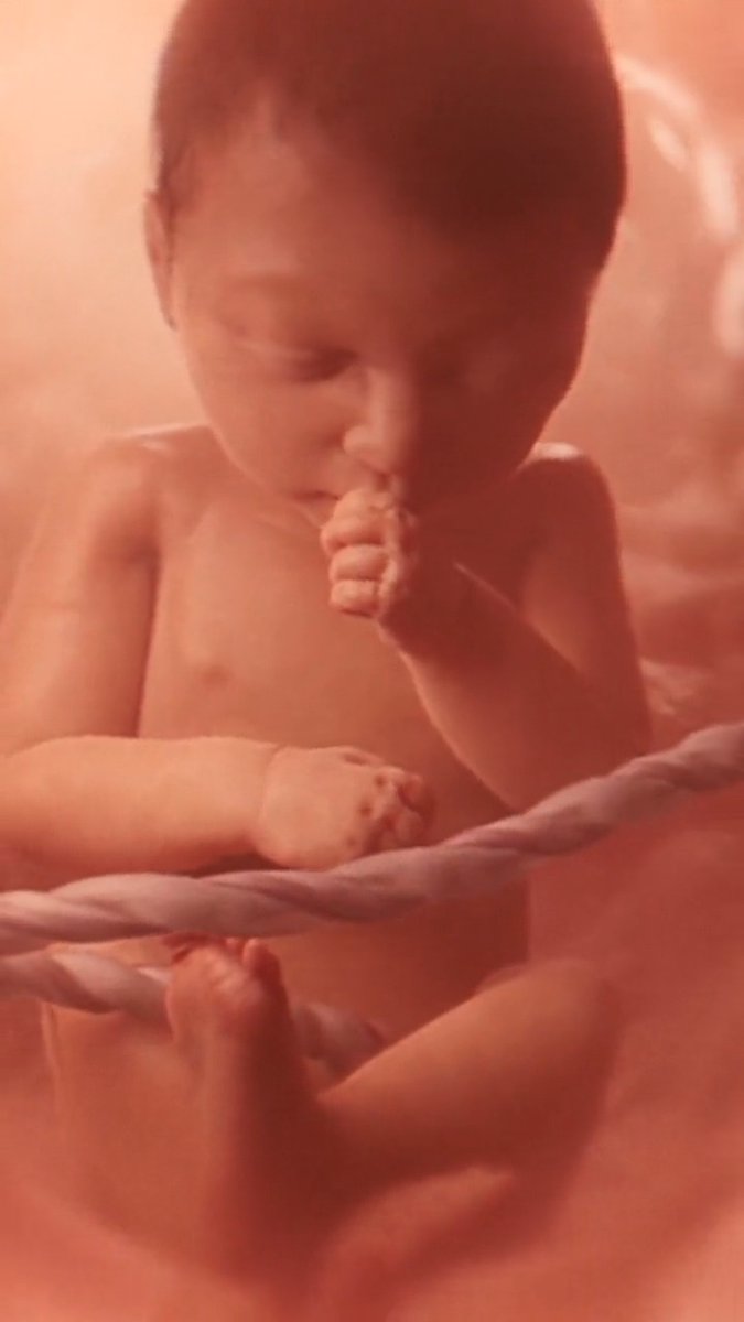 Science is crystal clear: human life begins at the moment of fertilization.