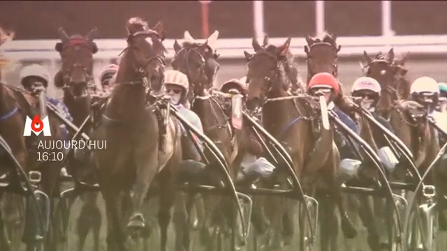 Vivez la plus prestigieuse course de trot attelé en direct de l’Hippodrome de Paris-Vincennes ! 🏇 Ce dimanche à 16:10, le #𝗣𝗿𝗶𝘅𝗗𝗔𝗺𝗲́𝗿𝗶𝗾𝘂𝗲 #𝗟𝗲𝗴𝗲𝗻𝗱𝗥𝗮𝗰𝗲 en direct sur M6. Présenté par Carine Galli et Xavier de Moulins