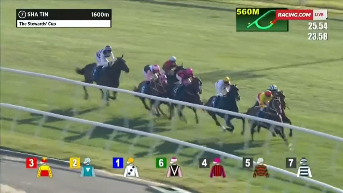 "Hong Kong's horse of a generation wins the race of the decade." Golden Sixty defeats Romantic Warrior &amp; California Spangle in a cracking edition of the G1 Stewards' Cup 💙💛🤍 #HKRacing HKJC Racing