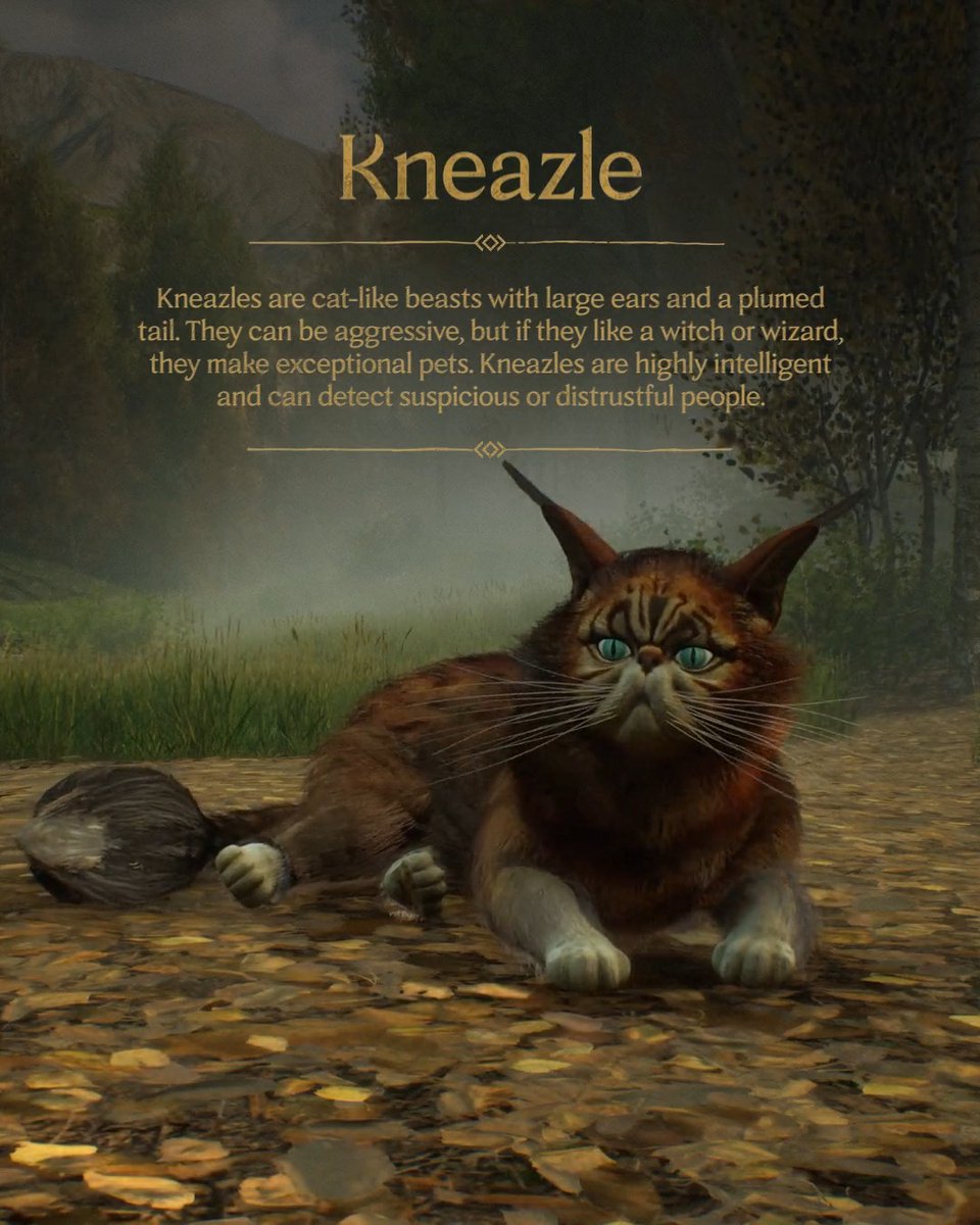 Do not mistake a Kneazle for your average cat. #HogwartsLegacy