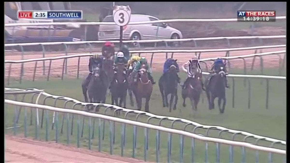 Six years ago today, Champ made his debut at Southwell Racecourse!