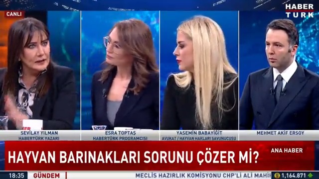 Hayvan barınakları sorunu çözer mi? Sokak hayvanlarından kim sorumlu? Habertürk Yazarı Sevilay Yılman #AnaHaber'de anlattı.