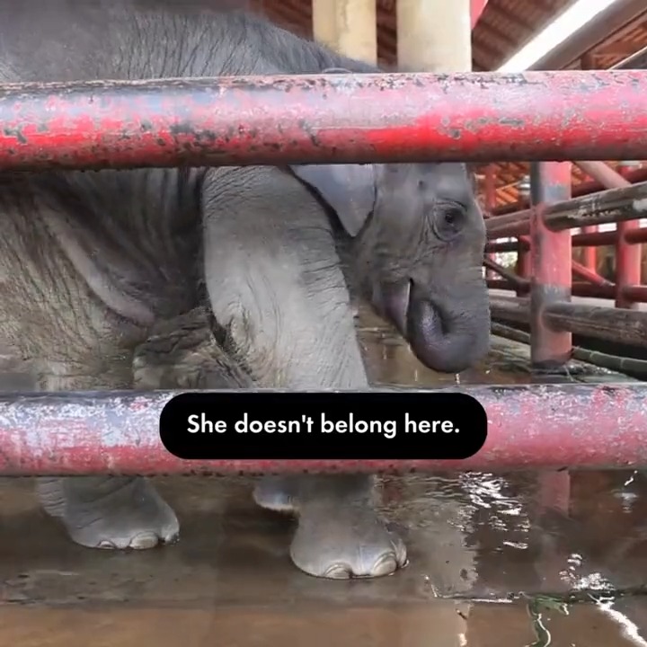 This video just breaks our hearts. 💔