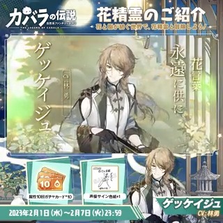 【花精霊実装記念キャンペーン】 花精霊——ゲッケイジュの実装を記念し、 特別キャンペーンを開催するぞ！ 参加方法： 1.【公式】カバラの伝説をフォロー 2.このツイートをRT 抽選で #林勇 さん直筆サイン色紙をプレゼント🎁 属性10回ガチャカードをゲットするチャンスも！ #カバデン #カバラの伝説