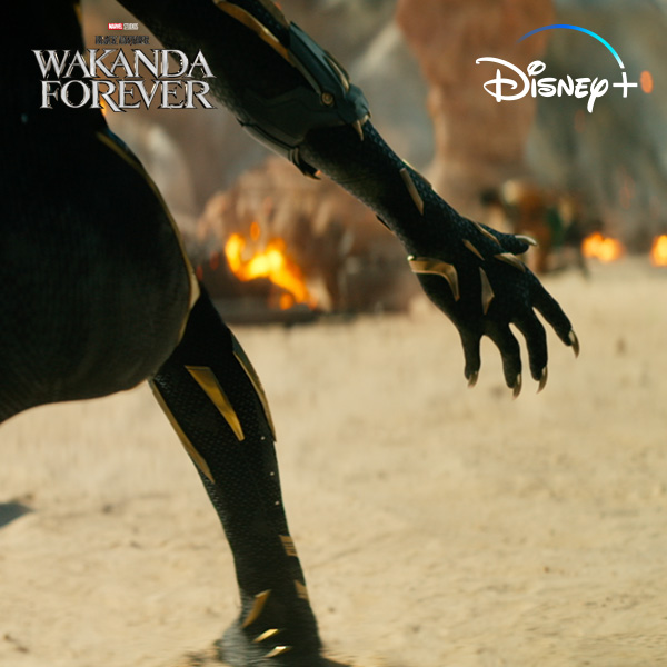For Wakanda. Marvel Studios’ Black Panther: #WakandaForever is now streaming on Disney+.