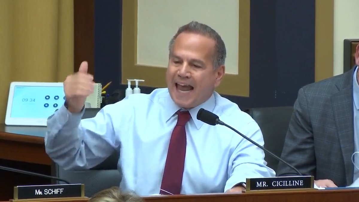 I just introduced an amendment in the House Judiciary Committee to recite the Pledge of Allegiance before every meeting. This is common sense. Why does patriotism make Democrats so heated?