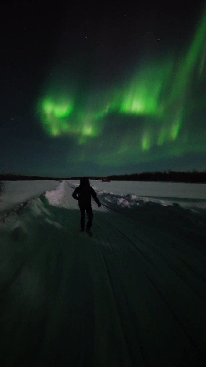 One of the most epic aurora storm in Ranua🤩🔥 #lapland