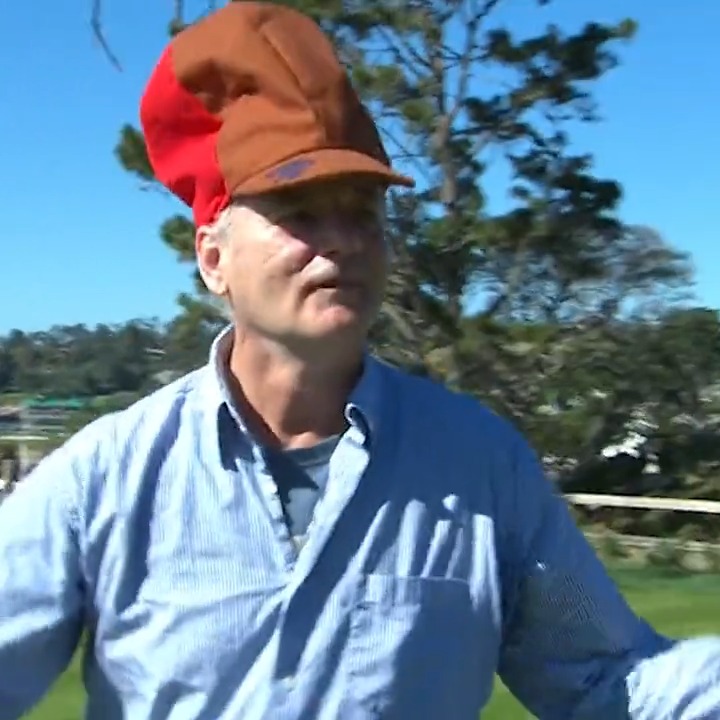 Bill Murray is a national treasure