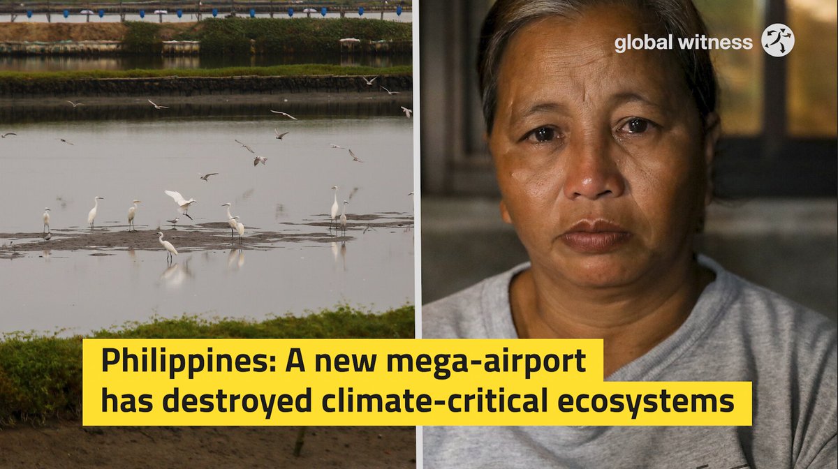 BREAKING 🔴 Dutch companies Beleef Boskalis and Atradius Dutch State Business will profit from a mega-airport in the Philippines which is displacing nearby communities and devastating ecosystems, our new investigation reveals. Read and share: