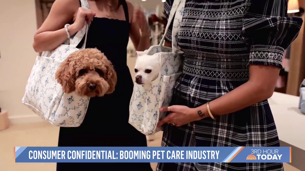 We want the best for all our pets — but the booming pet care industry prices are sometimes extremely high. Emilie Ikeda shares new businesses in the pet care industry and experiences to pamper our pets.
