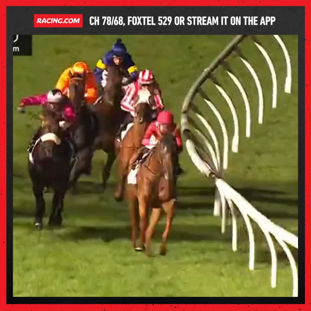 Jeez, that was tight! Holymanz claims the last at The Valley by a nose 😯 Ciaron Maher Racing