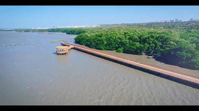 Bienvenidos al Mundo de Sueños, la ciudad de los parques, donde la cultura vibra en una fábrica, donde se habla inglés y los atletas surgen en cada esquina. La esquina mágica de América, ¡Barranquilla!