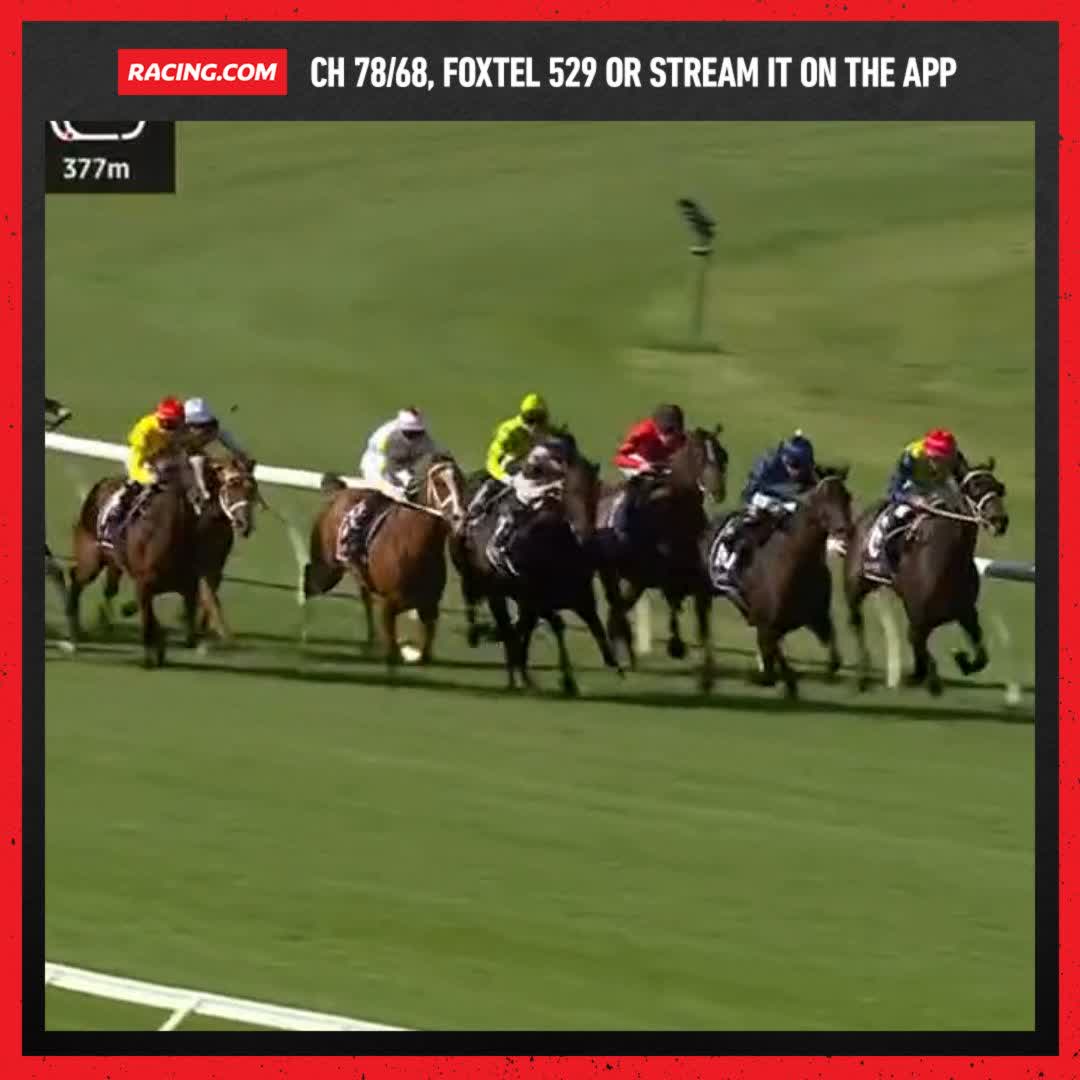 Glory Daze with a big finish! 🔥 That's his first win in Australia too 👊 Ciaron Maher Racing