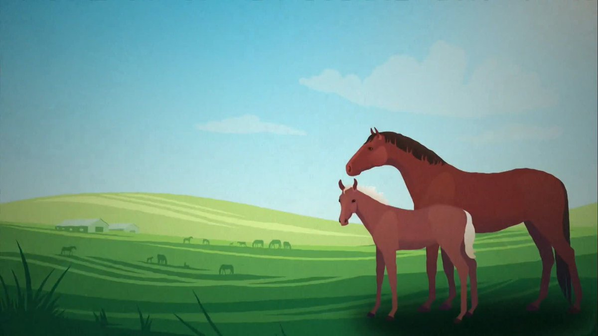 Cuteness overload! 😍 Foal Watch! 👶 🐴 #ITVRacing | #TheOpeningShow