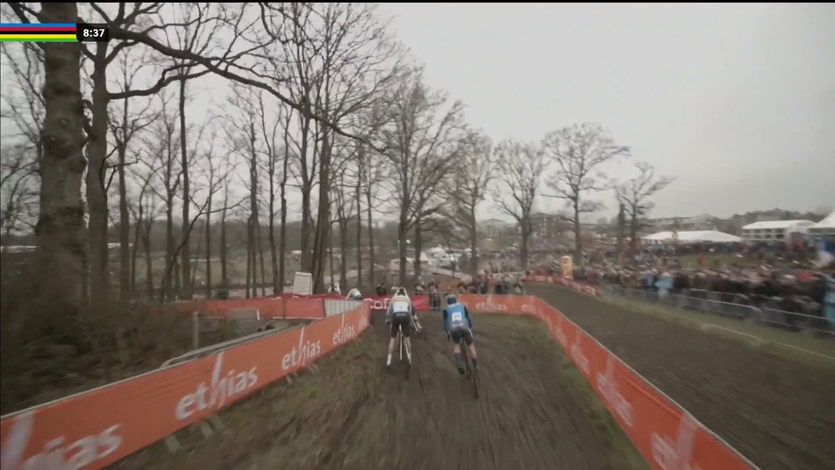 This view. 👀 #Hoogerheide2023