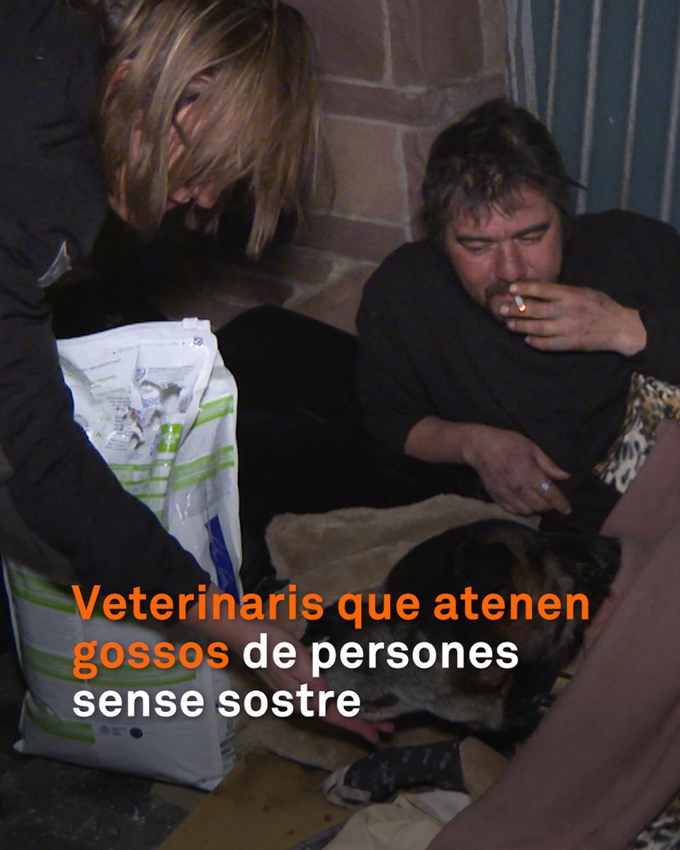 Surt de nit per atendre gossos de persones que dormen al carrer. La Isabel forma part d’un grup de voluntaris de la parròquia de Santa Anna que té cura de sensesostre. Com que és veterinària, també en visita els animals: “Són el seu company de vida”
