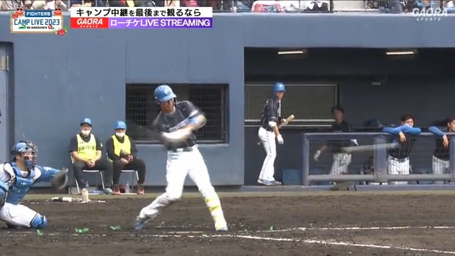 ＼ #江越大賀 のホームラン💥 ／ 攻守に輝きまくりの江越選手✨ さすがの打球速度でレフトスタンドへ‼ 📺GAORA ファイターズキャンプLIVE で生放送中⚡️ #ファイターズキャンプ中 #lovefighters #GAORA