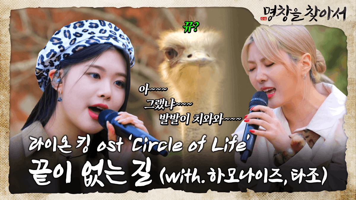 명창 하모나이즈의 험난한 수련을 거친 #퍼플키스 #고은 #채인 #수안 의 합을 증명하기 위해 찾아간 곳은.. 타조 농장?!😲 아름다운 하모니에 감동 받은🥺 타조들의 리액션 현장 #명창을찾아서 Watch #PURPLE_KISS(퍼플키스 (PURPLE KISS))'s #Finding_a_Master_Singer EP.4 👉
