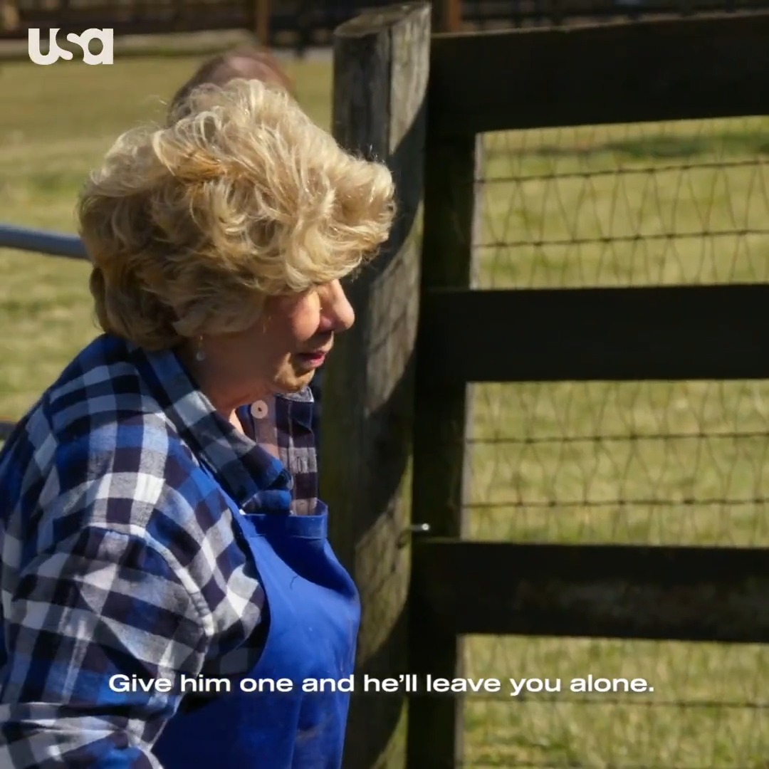 Catch an all-new episode of #ChrisleyKnowsBest, TONIGHT 11/10c on @USA_Network!