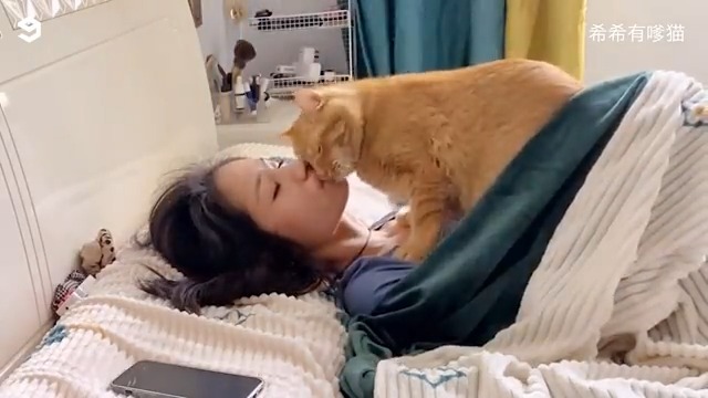 もうすぐ起床時間なのに飼い主と一緒に寝たい猫、これは起きれない…