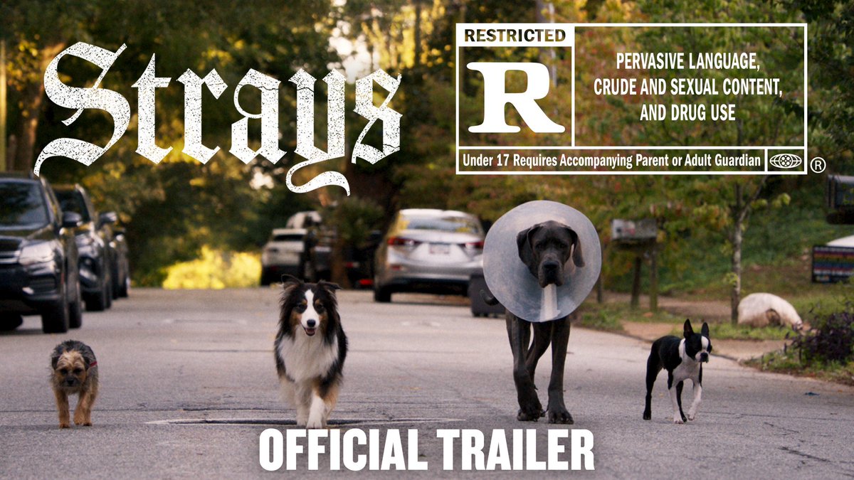 They’re bad to the bone. Watch the #StraysMovie NSFW trailer now.
