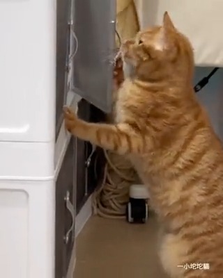 you saw nothing