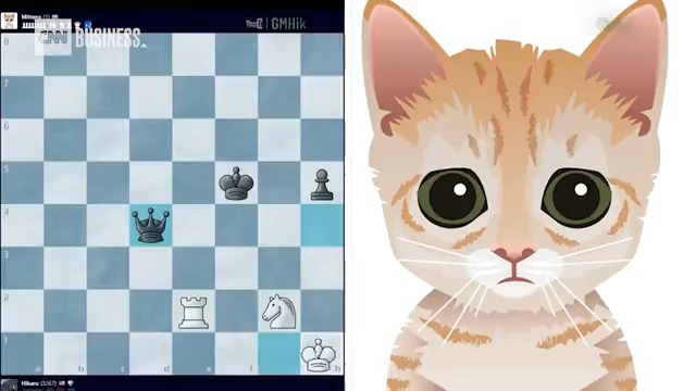 Meet the innocent-looking cat-themed bot that upended the chess world