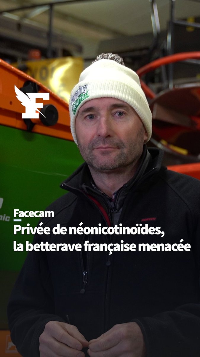 Privée de néonicotinoïdes, la betterave française est menacée Confrontés à une législation plus restrictive que leurs voisins européens, les betteraviers français ne pourront pas utiliser de néonicotinoïdes en 2023. Bruno 😅Salut Salut craint de voir sa production s’effondrer.