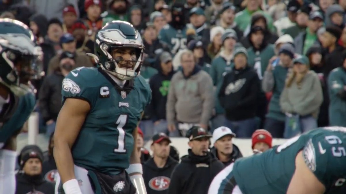 NEED A FUCKING BRICK WALL GOOOO BIRDS 🦅 (via DelcoDelphia)