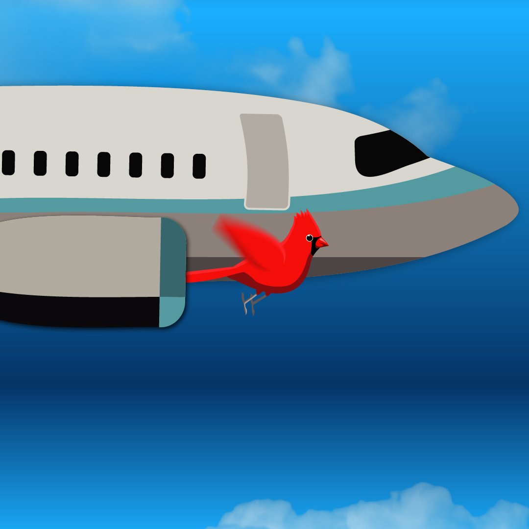 Bird strikes cost US airlines an estimated $1.2 billion each year