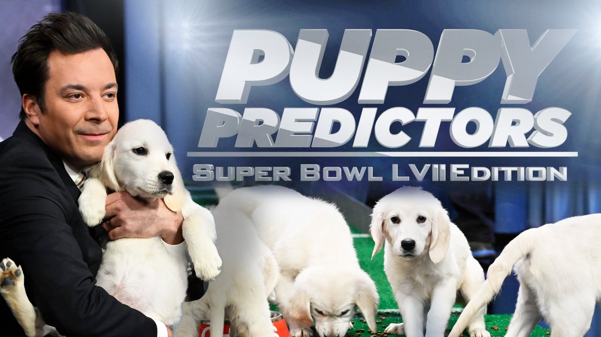 It’s time for our beloved #SuperBowl tradition… Puppy Predictors! #FallonTonight #SuperBowlLVII