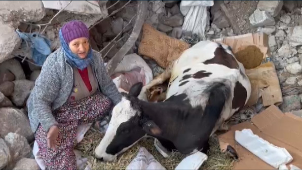 "Ben yatamıyorum evimde, kalk kızım"