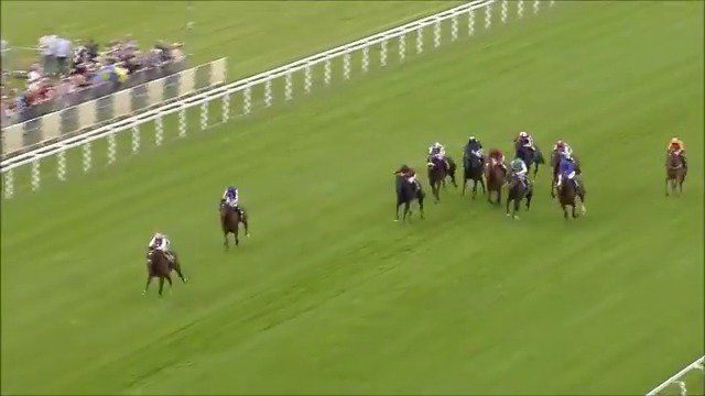 The best to ever do it! Happy 15th birthday, Frankel 🥳