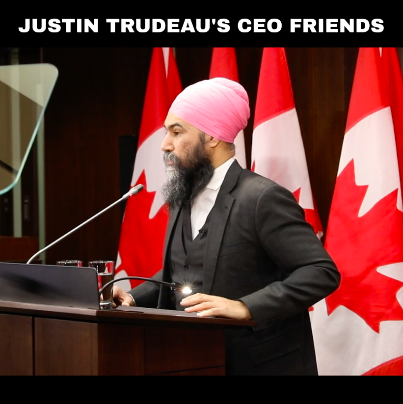 Justin Trudeau won't stop big corporations from gouging you at the gas pump or grocery till. The truth is, he'll never make CEOs pay what they owe. New Democrats will - help us fight back.