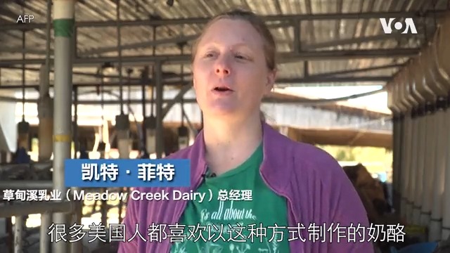奶酪在中国人饮食中占比虽有提高,大多数人仍不习惯其味道,感觉吃起来像肥皂,但对美国人来说不可或缺。阿巴拉契亚山区的一家小型乳品企业用生牛奶制成的奶酪口味浓郁,能够带给味蕾持久享受,与大批量的工厂产品迥然不同。由于生牛奶未经巴氏消毒,FDA要求奶酪至少陈化60天。