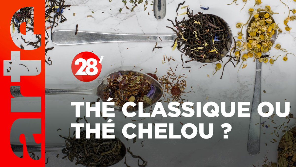 Le saviez-vous ? Les thés, qu’ils soient verts, noirs ou blancs, viennent tous de la même plante. Mais comment s'y retrouver dans toutes ces variétés ? David Castello-Lopes nous aide à y voir plus clair. 🍵 #28min