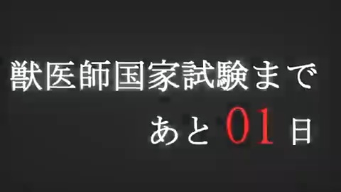 #第74回獣医師国家試験 まで残り01日。 今日まで #獣医国試応援名言 と銘打ってみんなの一言応援ネタを毎日投稿してきましたが、全てをまとめて動画にしました。 28人のツイッタ獣医師からのエールよ、国試受験生に届け。 みんなで貴方達の健闘を祈り、同僚となる日を待っています！