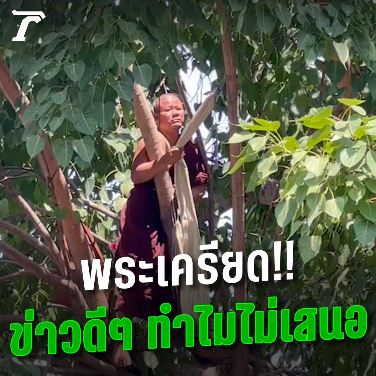 หลวงพ่อเครียด! วันๆ มีแต่ข่าวพระฉันบวบ จวกสื่อทำลายวงการสงฆ์ ปีนต้นไม้ร้องนายกฯ #ไทยรัฐออนไลน์