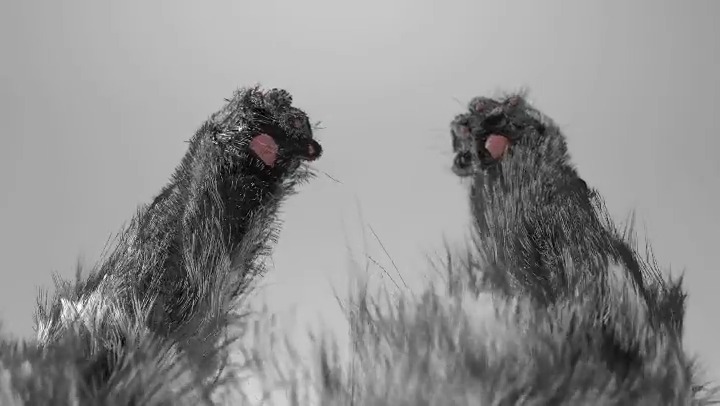 Gregs POV 🤚✋